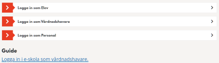 E-skolan &Ouml;rebro kommun.PNG